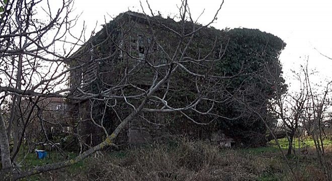 Sarmaşıkların sardığı tarihi ev ilgi çekiyor