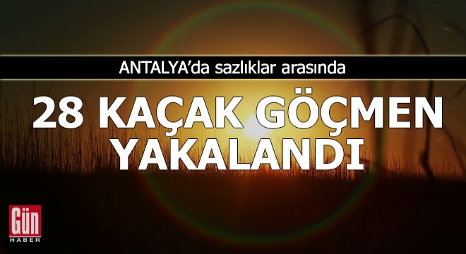 Sazlıklar arasında saklanan 28 kaçak göçmen yakalandı