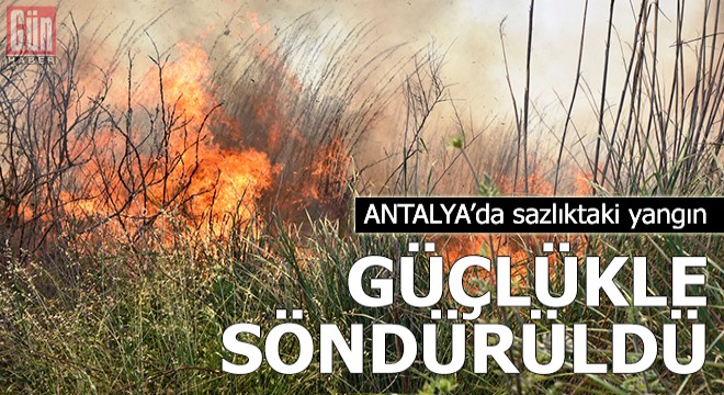 Sazlıktaki yangın güçlükle söndürüldü