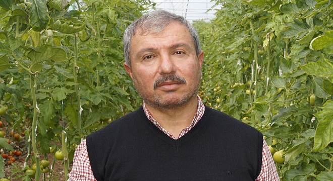 Sebze fiyatlarında sert düşüş