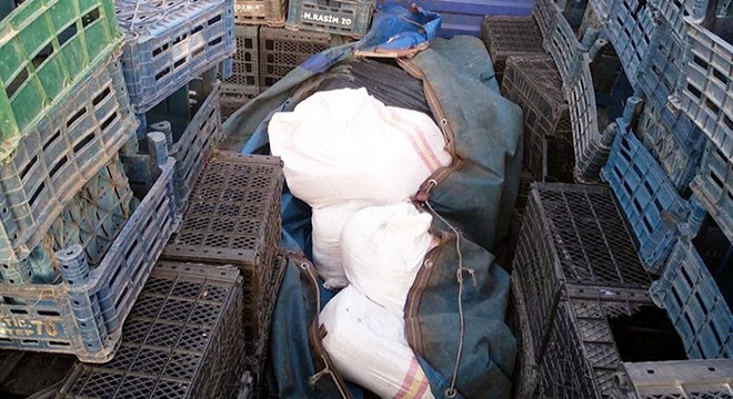 Sebze kasalarına gizlenen 113 kilo esrarı 'Uzi' buldu