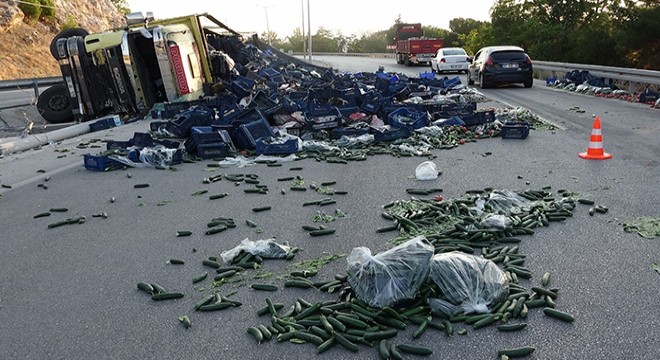 Sebze yüklü kamyon devrildi, sürücü yaralandı