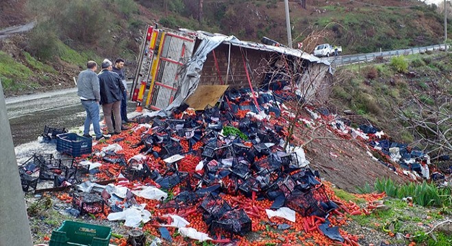 Sebze yüklü tır devrildi