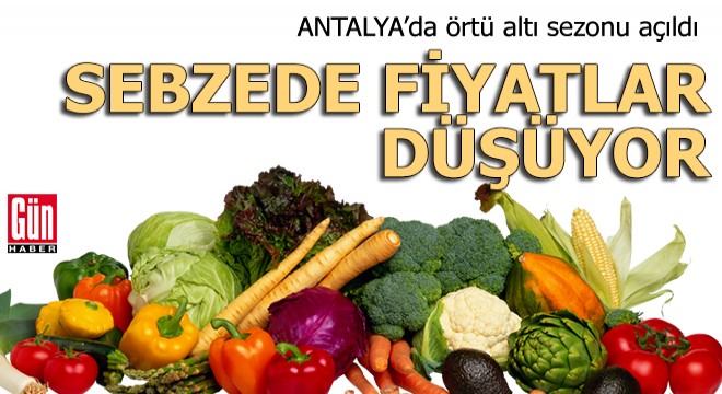 Sebzede örtü altı sezonu açıldı, fiyatlar düşüyor