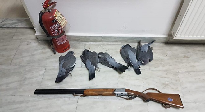 Şehir merkezinde avlanan kaçak avcıya ceza