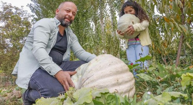 Şehir hayatından sıkıldı, dev kabaklar yetiştiriyor