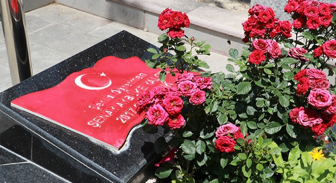 Şehit Aybüke öğretmen, mezarı başında anıldı