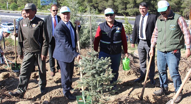 Şehit savcı adına hatıra ormanı