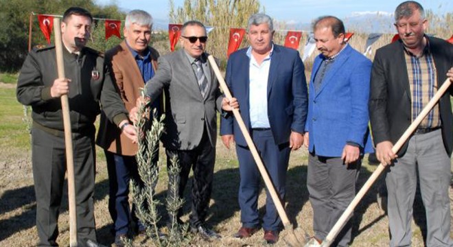 Şehitler için 72 fidan dikildi