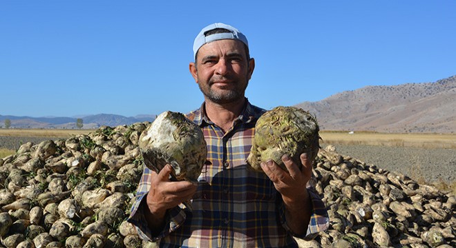 Şeker pancarında yüksek rekolte üreticiyi sevindirdi