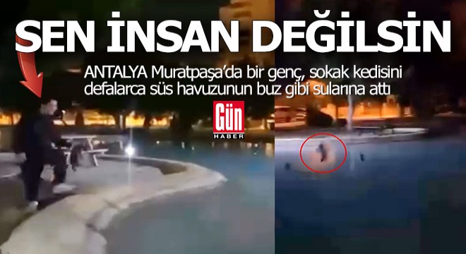 Sen insan değilsin... Muratpaşa da kediye havuz zulmü...