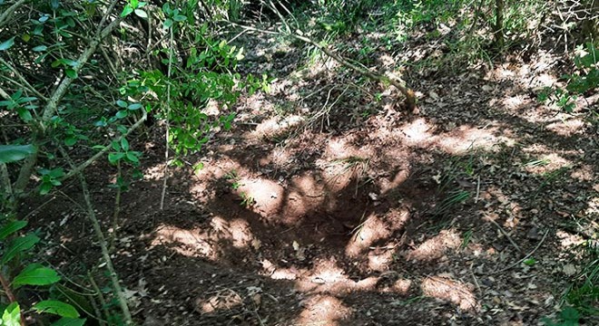 Şengül'ü altınları için eşarpla boğup, ormana gömdü