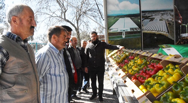 Sera üreticisine yeni türler tanıtıldı