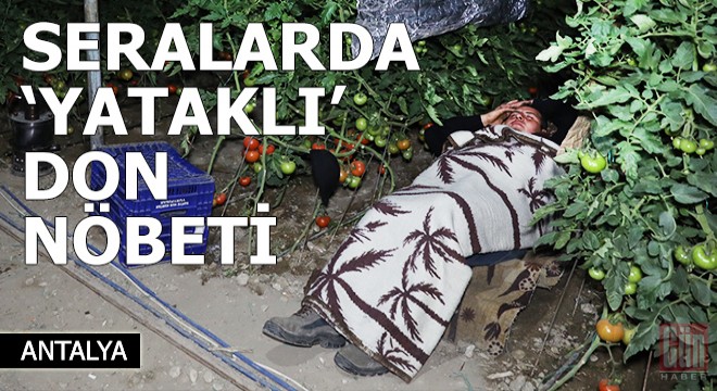 Seralarda sabaha kadar 'yataklı' don nöbeti