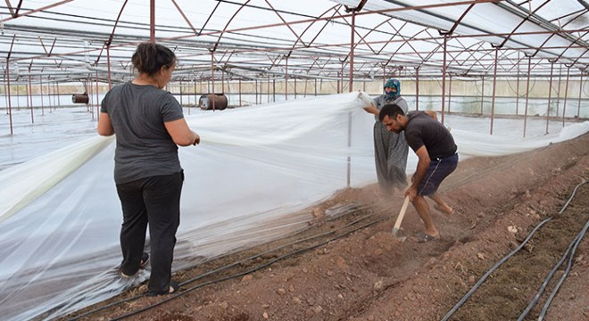 Seralarda solarizasyon dönemi başladı