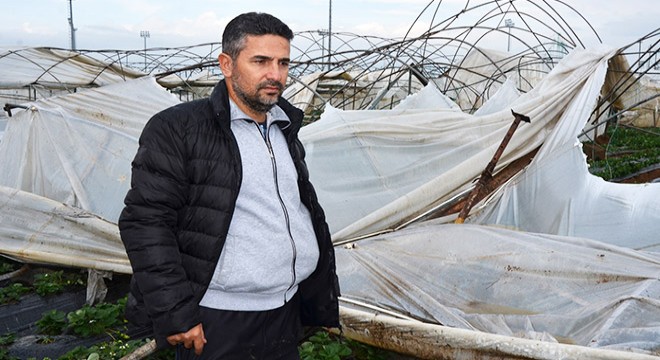 Serası yıkılan üretici: 4 dönümü yerle bir etti