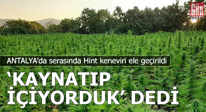 Serasında Hint keneviri ele geçirildi,  Kaynatıp içiyorduk  dedi