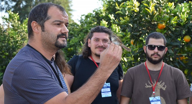 Serik'te 5 bin 200 kuş halkalandı