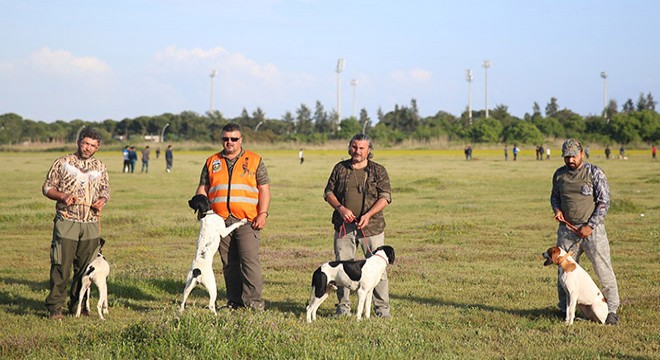 Serik'te av köpekleri yarıştı