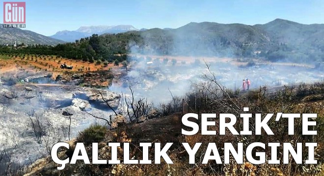 Serik'te çalılık yangını