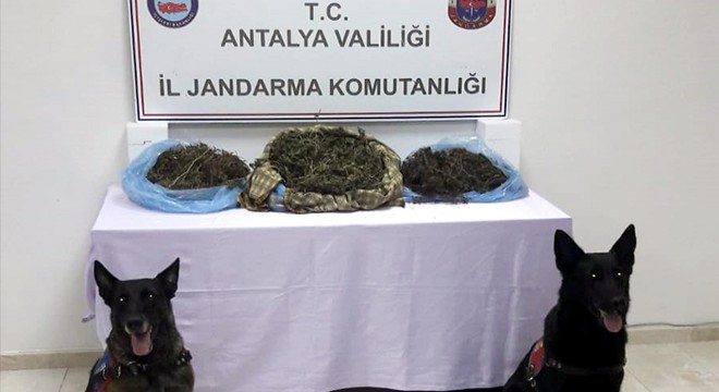 Serik'te jandarmadan uyuşturucu operasyonu