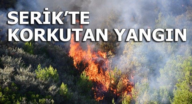 Serik'te korkutan orman yangını