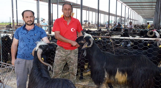 Serik'te kurbanlık satışları sürüyor