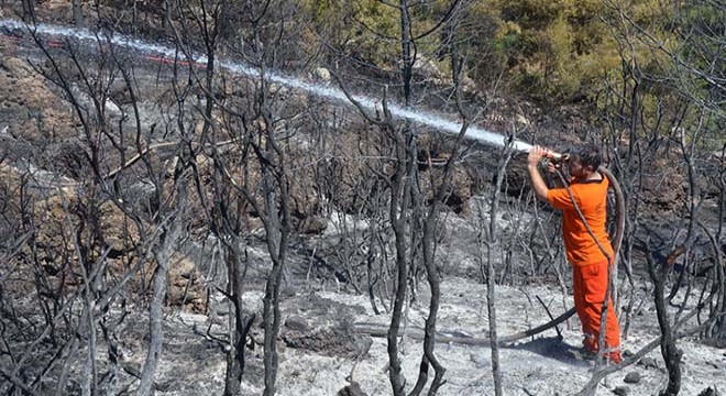 Serik'te orman yangını