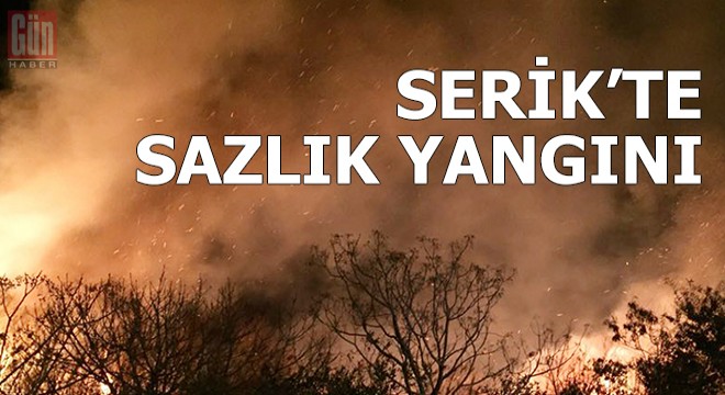 Serik'te sazlık yangını