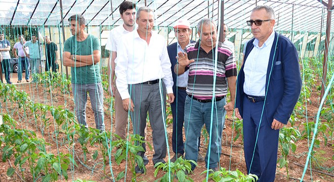 Serik'te solucan gübresi uygulaması