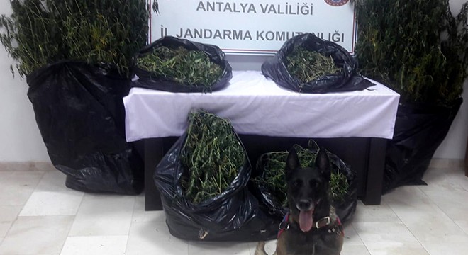 Serik'te uyuşturucu operasyonu