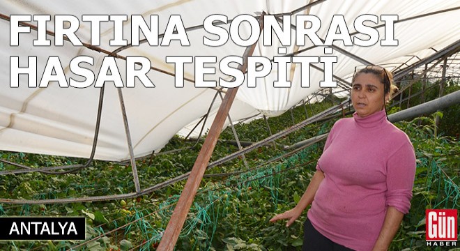 Serik'te yağmur ve fırtına sonrası tarım alanlarında zarar tespiti