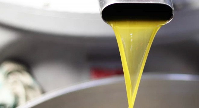 Serik'te zeytin ve yağ sıkma hasadı başladı