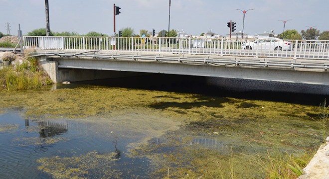 Serik Acısu Deresi nde  kirlilik ve koku  şikayeti