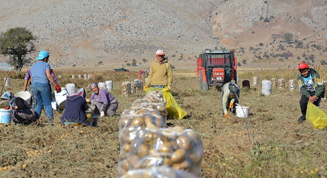 Sert: DİTAP ile sektör kazançlı çıkacak