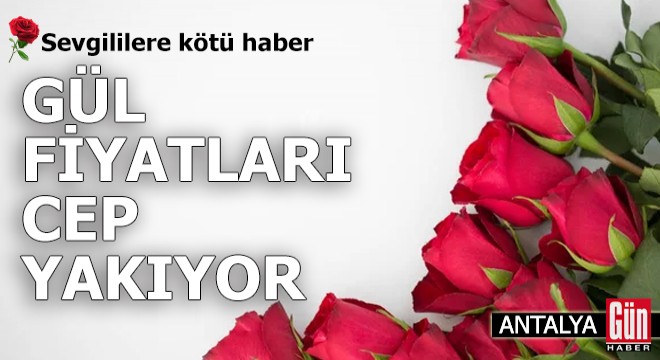 Sevgililerle kötü haber! Gül fiyatları cep yakıyor
