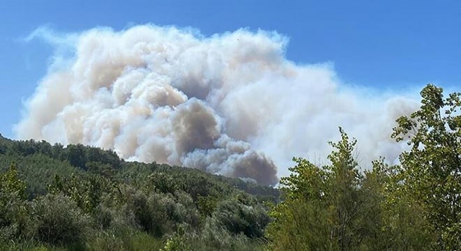 Seydikemer'de çıkan yangın, Kaş'ta ormana sıçradı
