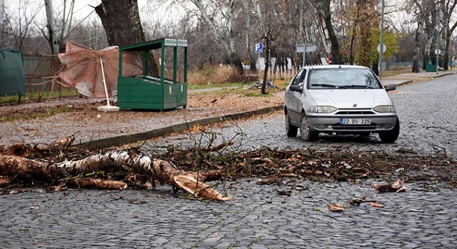 Seyir halindeki otomobilin üzerine ağaç devrildi