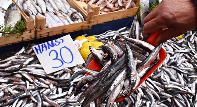 Sıcaklık mevsim normalleri üzerinde, hamsinin fiyatı arttı