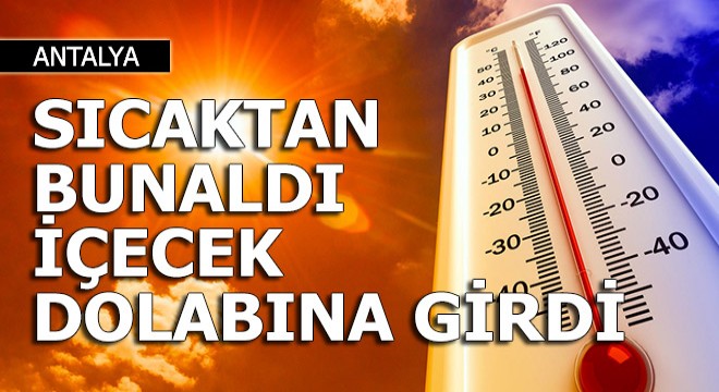 Sıcaktan bunaldı içecek dolabına girdi