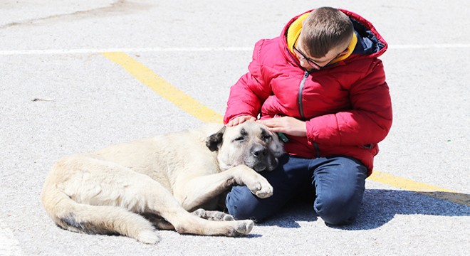 Şiddet uyguladıkları köpekler, şimdi en yakın dostları