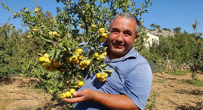 Şifa deposu alıç üreticisinin yüzünü güldürüyor