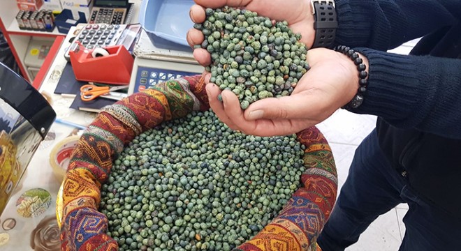 Siirt bıttımı altınla yarışınca fıstığa dönen üretici pişman oldu