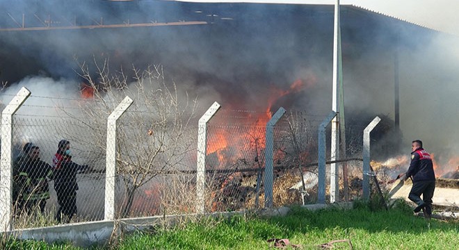 Silaj deposunda yangın çıktı, 300 ton yem kül oldu