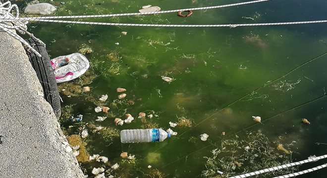 Silivri Sahili'nde deniz çöplüğe döndü
