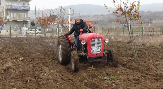 Sındırgı’ya karakılçık buğdayı ekildi