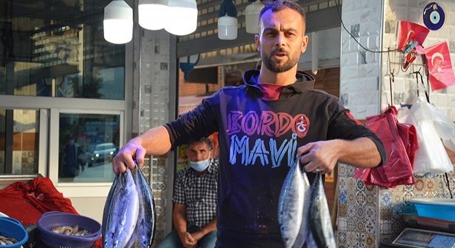 Sinop'ta palamudun 6 tanesi 10 lira