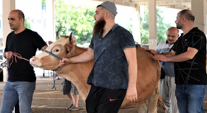 Sıra numaralı kurban kesimi