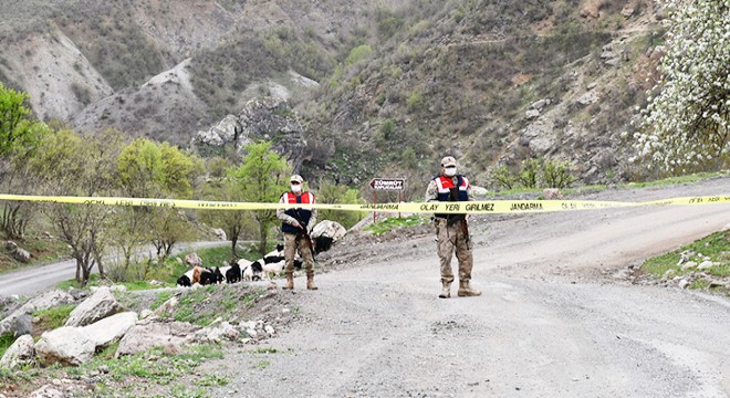 Şırnak'ta 1 köy, karantinaya alındı