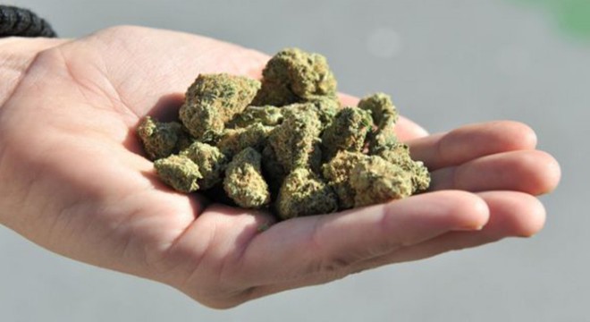 Sırt çantalarında 1500 gram esrar ele geçirildi